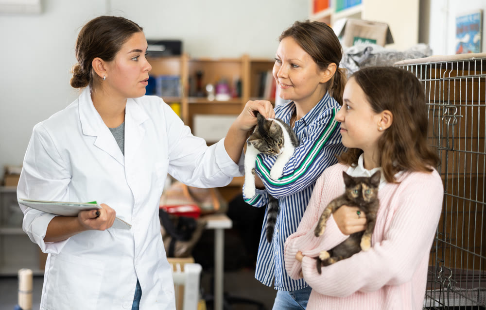 Woman with daughter adopting cat from shelter talking to female volunteer