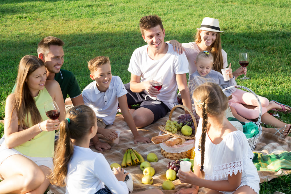 Big family picnic