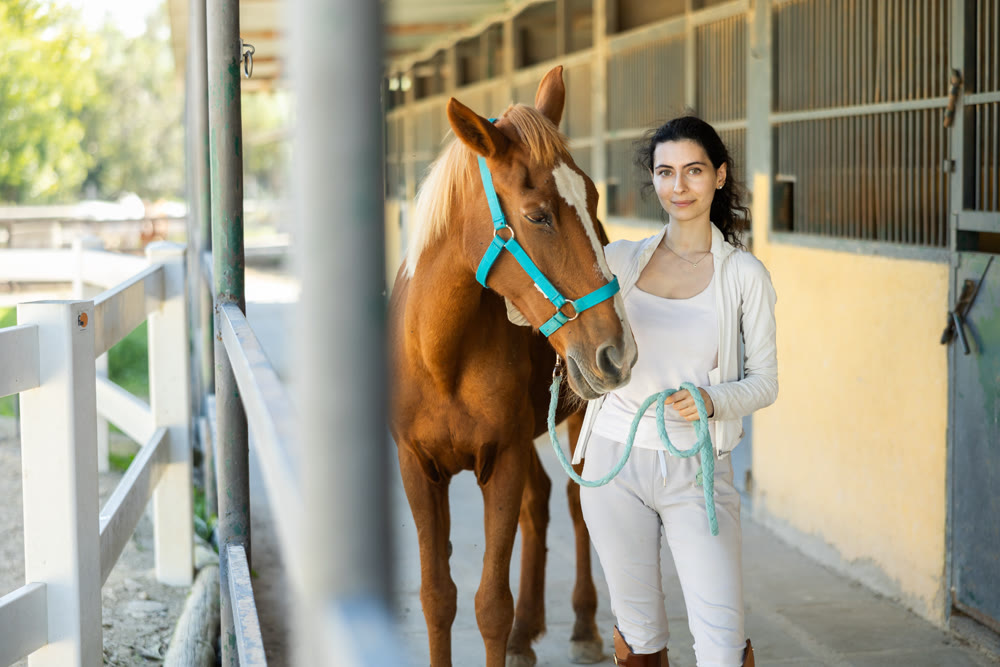 Armenian female worker takes horse out of stall, holds animal by bridle and leads pet for walk