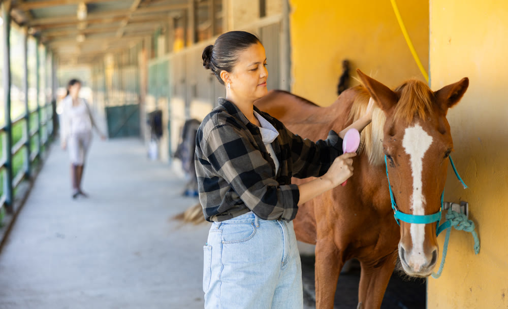 European girl has tied horse to hitching post and is combing animals mane