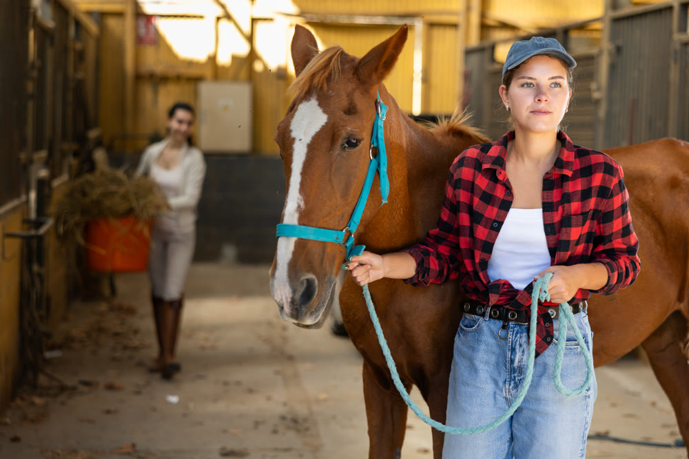 Young woman with horse in stable