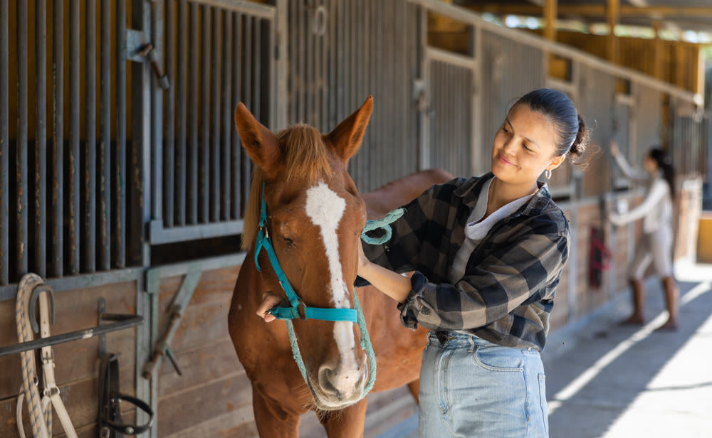 Young woman leading horse out of stable