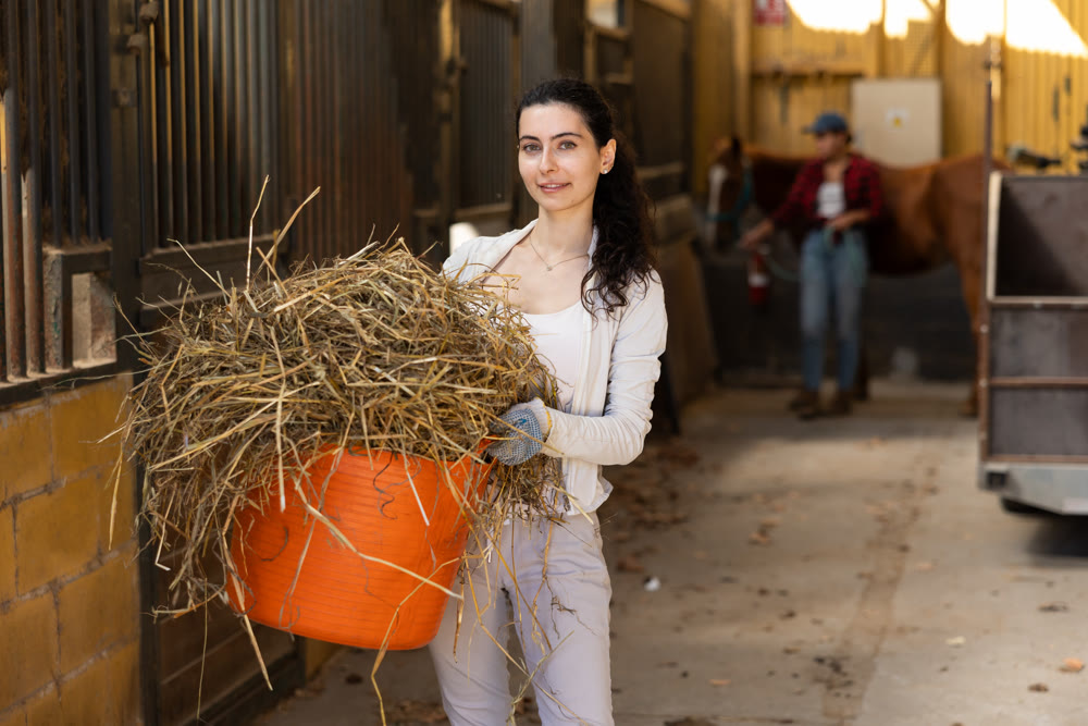 Armenian young female worker walks go through corridor of stable, carrying basket with straw