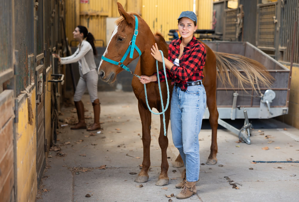 Positive female worker takes horse out of stall, holds animal by bridle and leads pet for walk