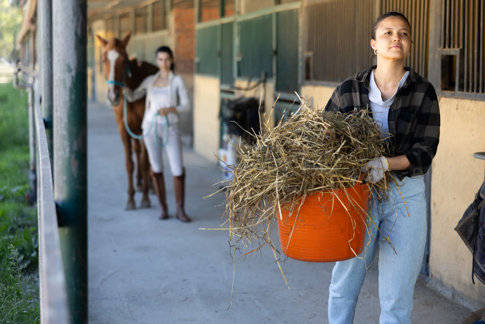 Young woman with bucket of hay in stables