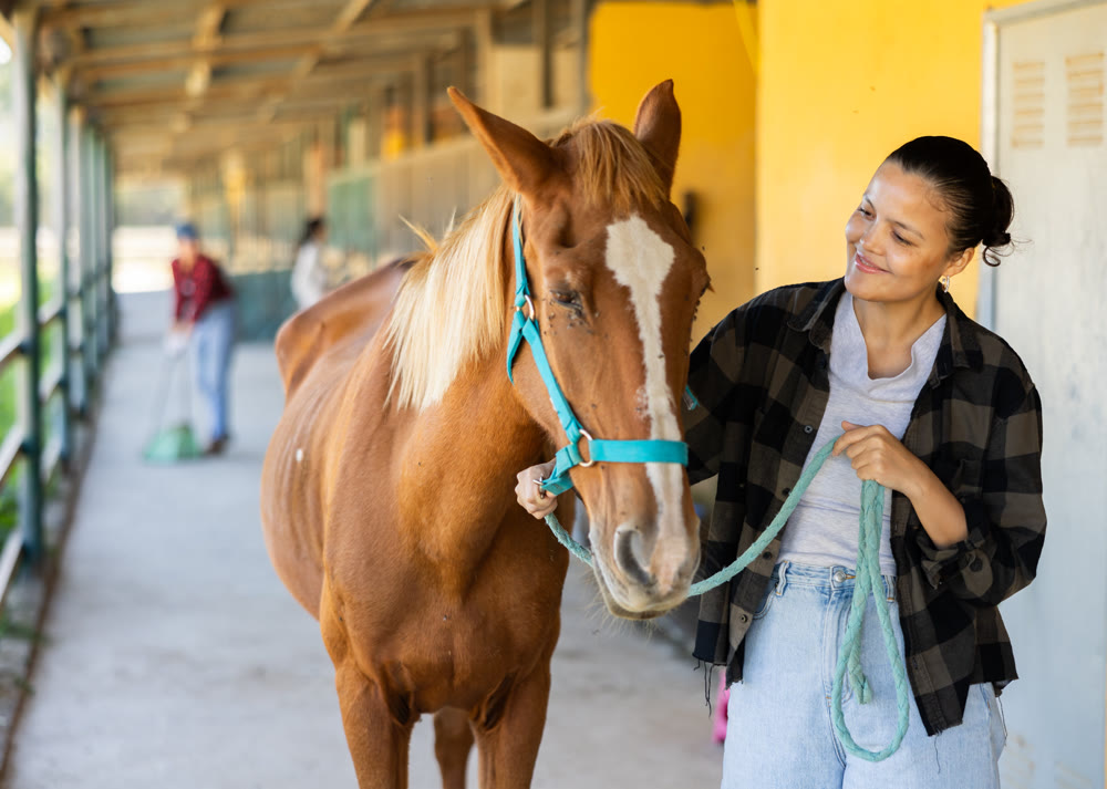 Asian female worker takes horse out of stall, holds animal by bridle and leads pet for walk