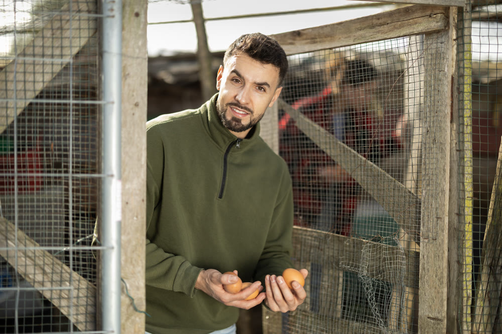 Man holding fresh eggs in chicken coop