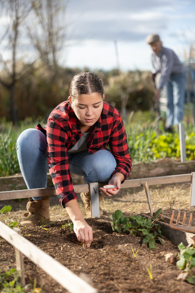 Woman planting young seeds in organic plantation