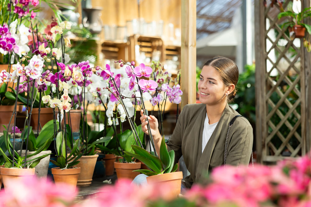 Young woman choosing orchids in flower shop
