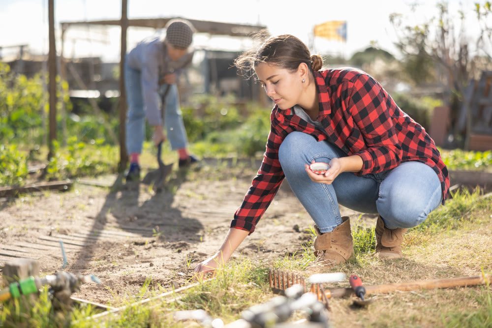 Young woman planting seeds on beds in garden