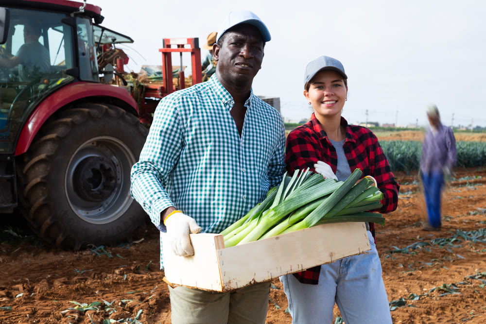 Two farmers posing on leaf vegetables field