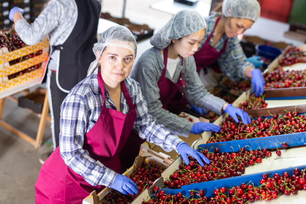 Women working on producing sorting line at fruit warehouse