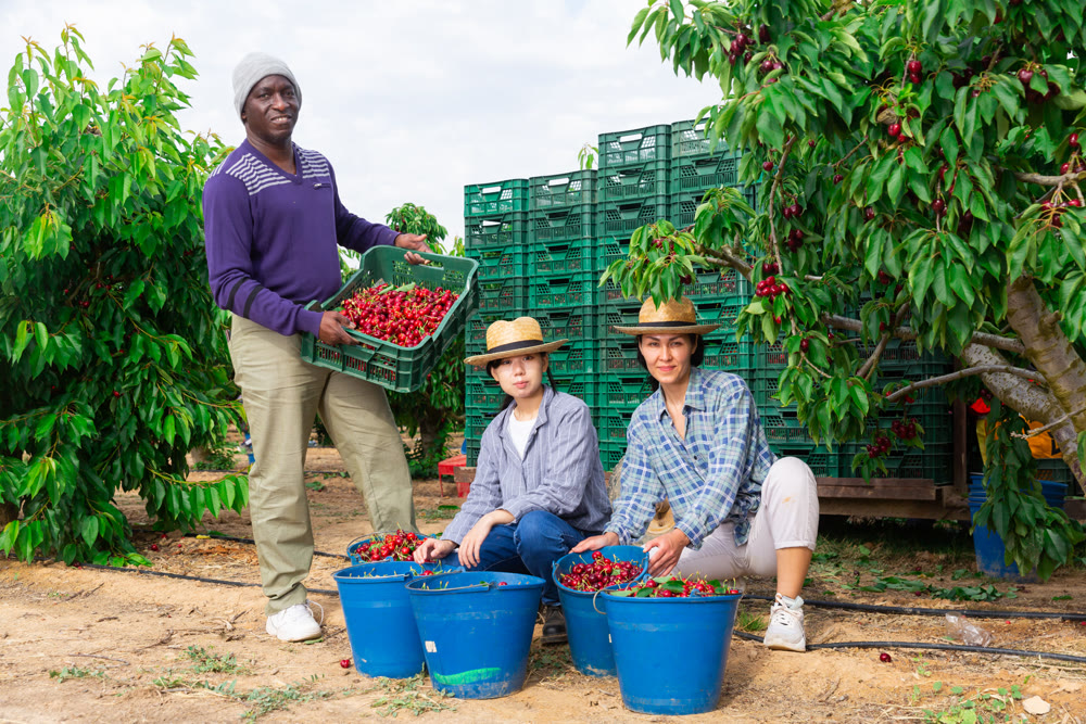 Portrait of international group of smiling farm workers