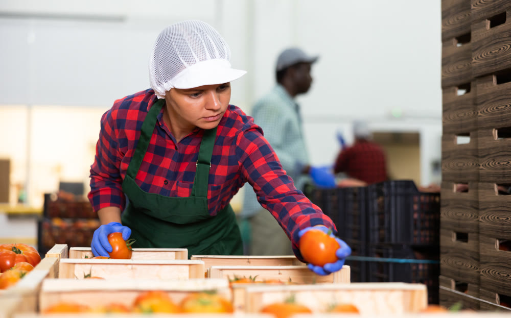 Woman in apron evaluating quality of vegetables in storage