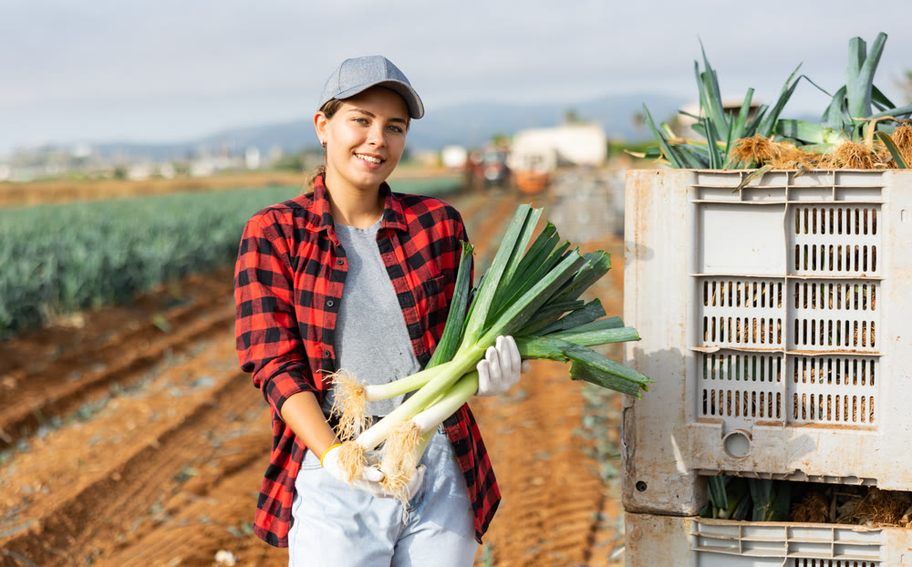 Positive girl farmer holding harvested leeks on field