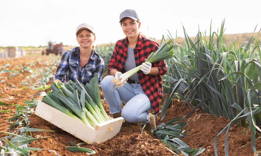 Two female farmers posing on leek field