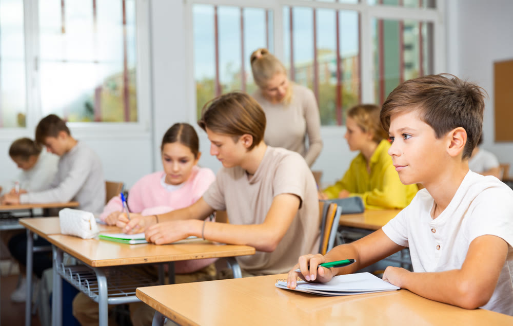 Schoolboy posing in classroom during lesson