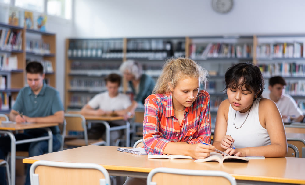 Two teenage friends sit at a desk in school library and carefully do assignments
