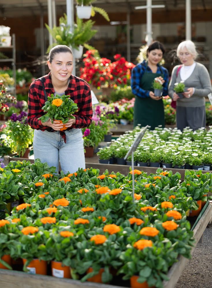 Young female customer near display case with calendula carefully selects pot with seedlings.