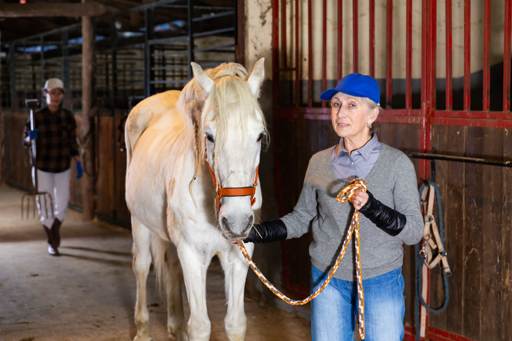 Elderly woman leading a white horse out of stable