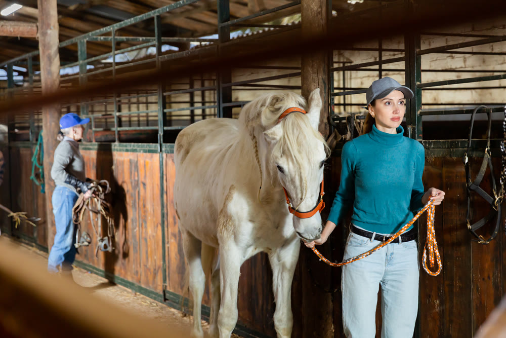 Portrait of young woman with a white horse in stable