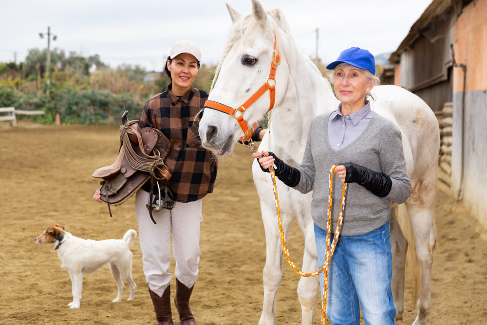Women ranchers preparing white horse for ride