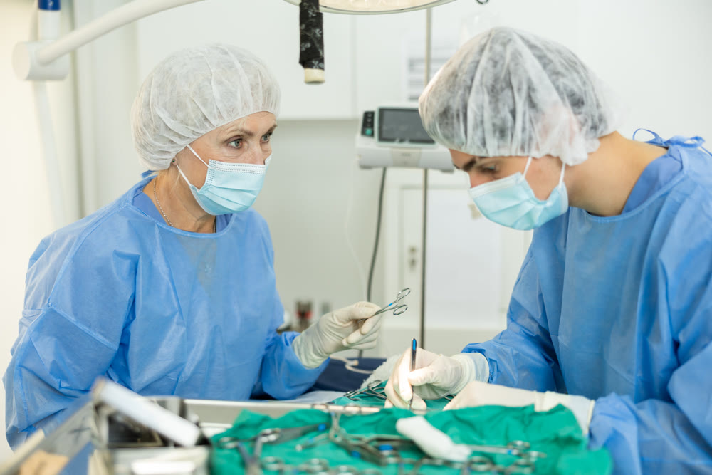Senior woman doctor of veterinary medicine is focused performs surgery on animal.