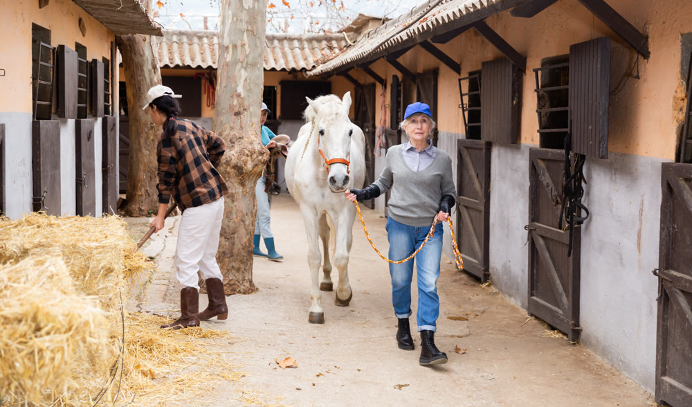 Women ranchers preparing white horse for ride