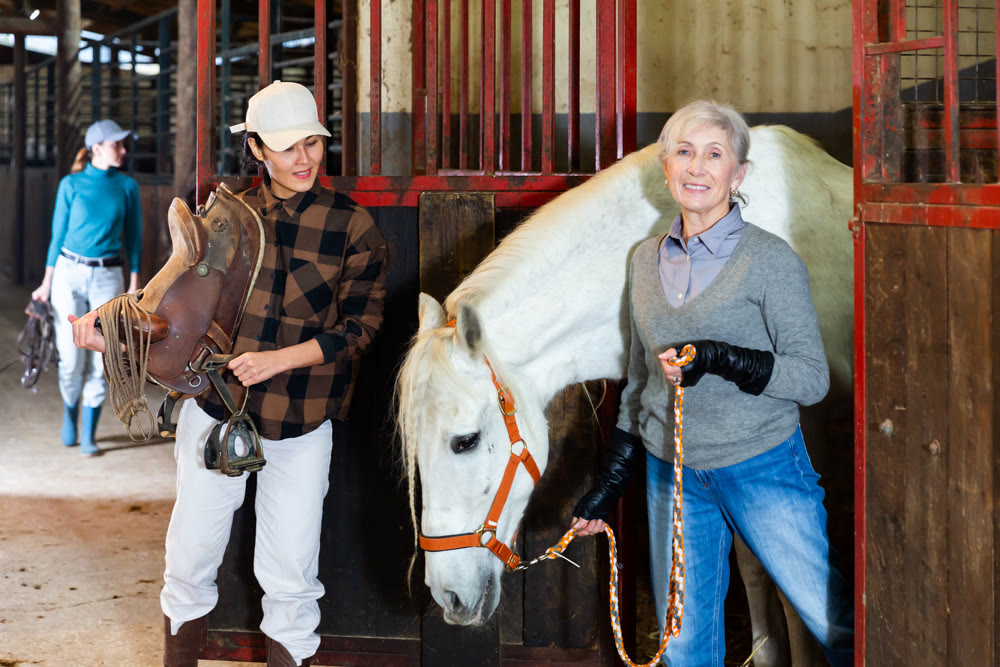 Women work in stable - prepare horses for riding