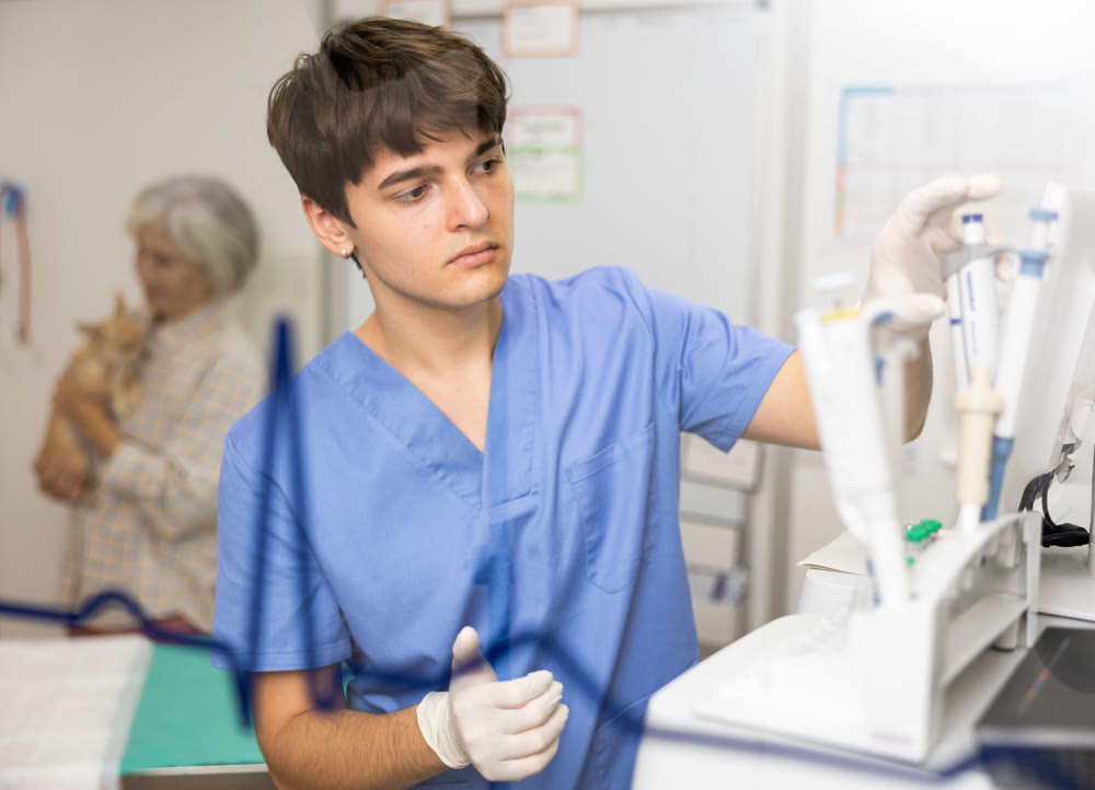 Guy veterinarian install container, test tube with biomaterial and blood sample into analyzer device