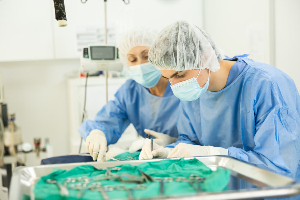 Young veterinarian assisting senior female colleague during surgery at veterinary clinic