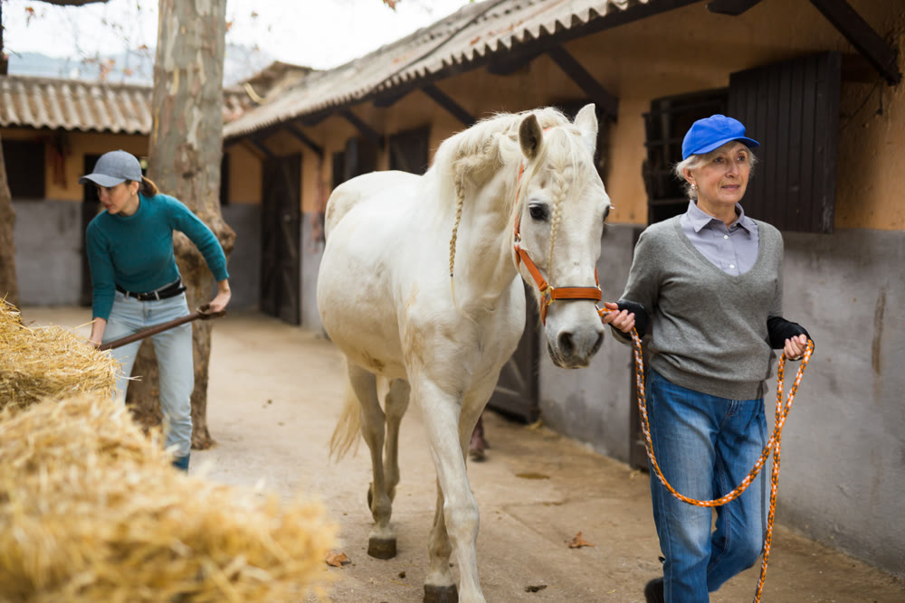 Women horse breeders working in ranch