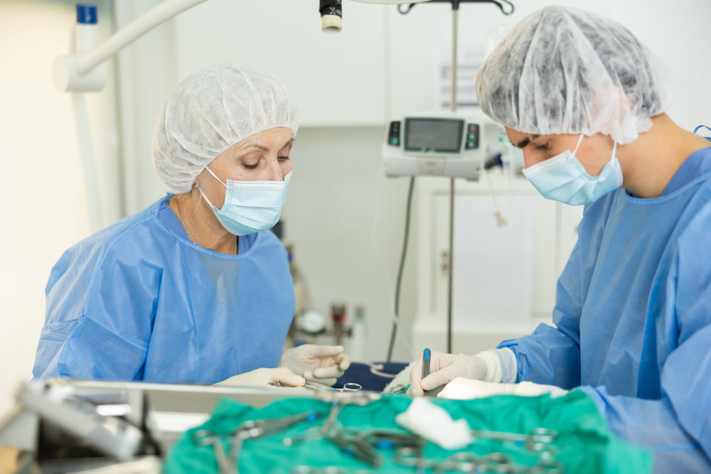 Elderly female veterinarian assisting colleague during surgery at veterinary clinic