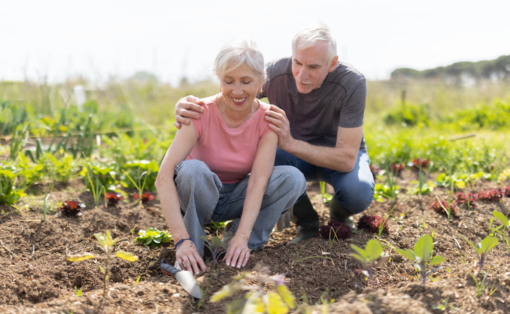 Elderly couple planting seeds in farm field