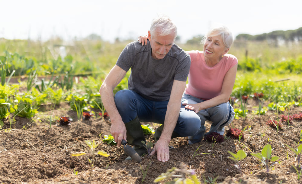 Elderly couple planting seeds in farm field