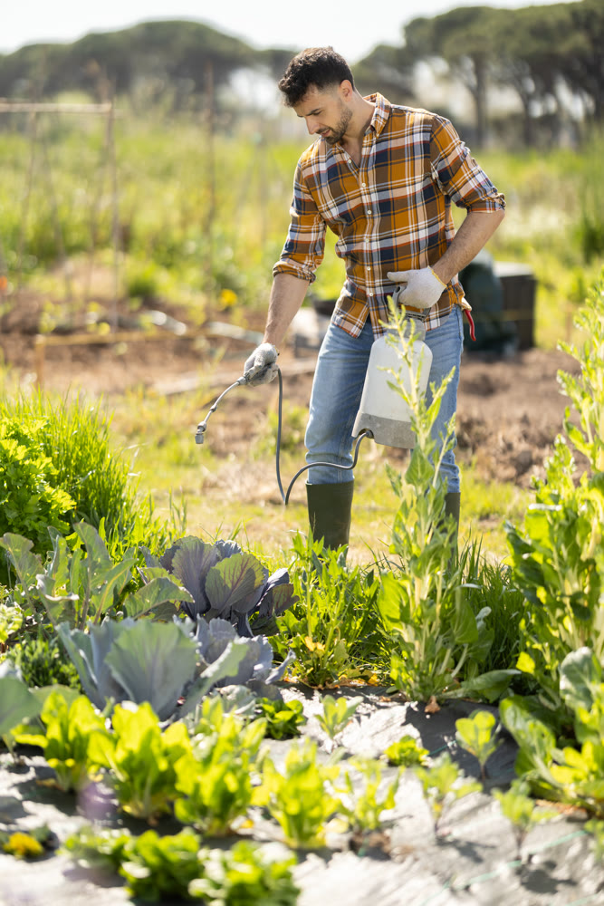 Young man spraying plants on farm field