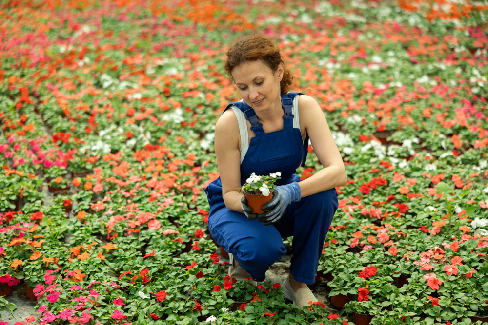 Woman Greenhouse Worker with Flowers