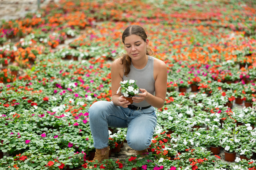 Young woman choosing flowers in greenhouse