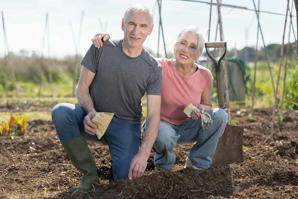 Elderly couple planting seeds in farm field