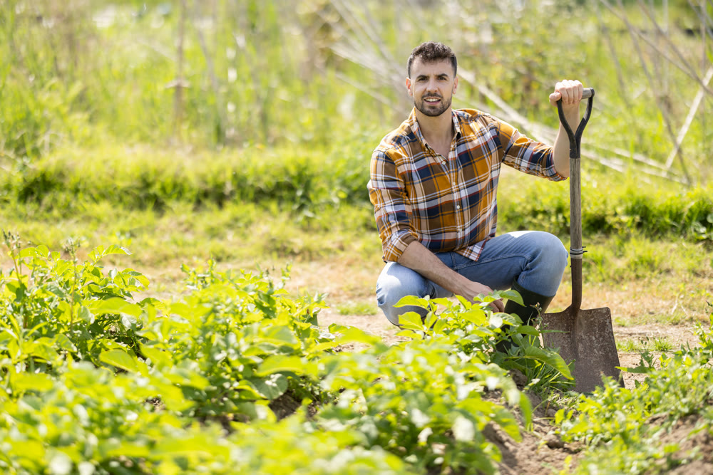Male farmer digs soil in the garden beds with shovel