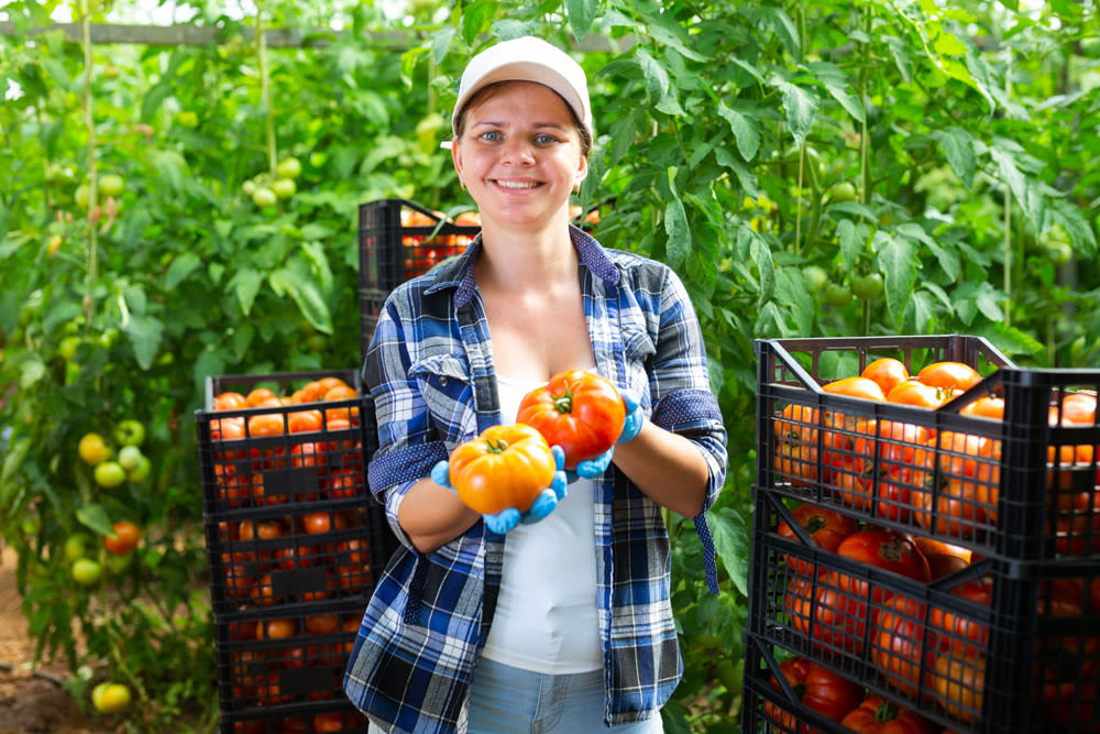 Portrait of cheerful woman farmer with tomato crop