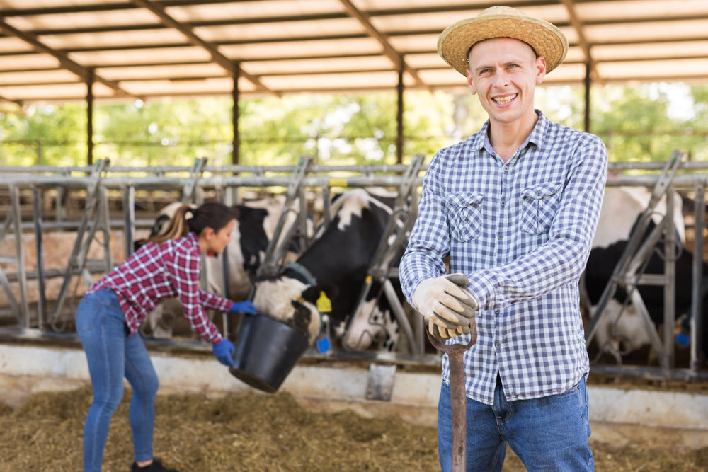 Male farmer posing in cowshed at the cow farm