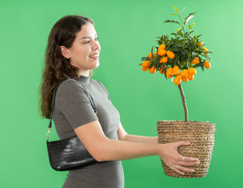Portrait of happy girl in long dress with kumquat plant in her hands on green background