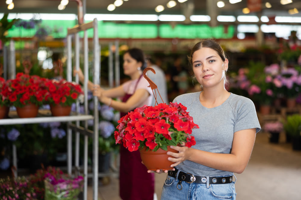 Young woman customer holding petunia in flower-pot in open-air plants market