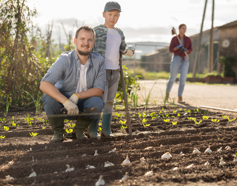 Young man with boy planting seeds in field