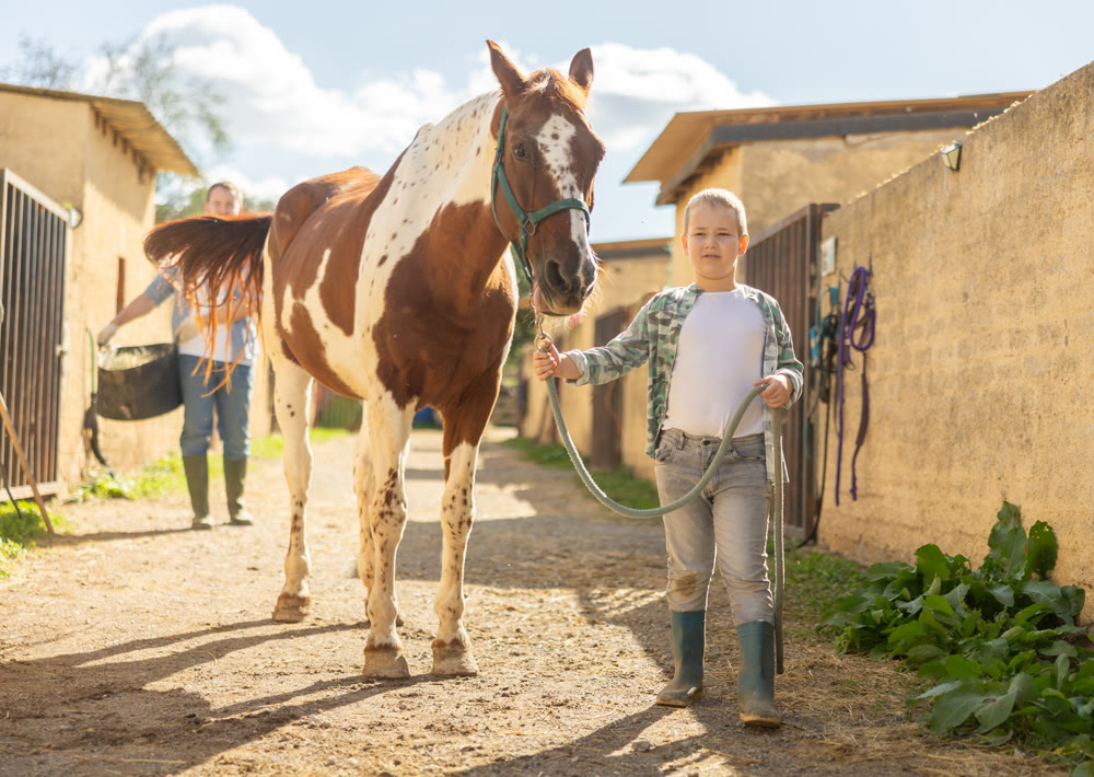 Happy boy leads a horse by the bridle for a walk in pasture