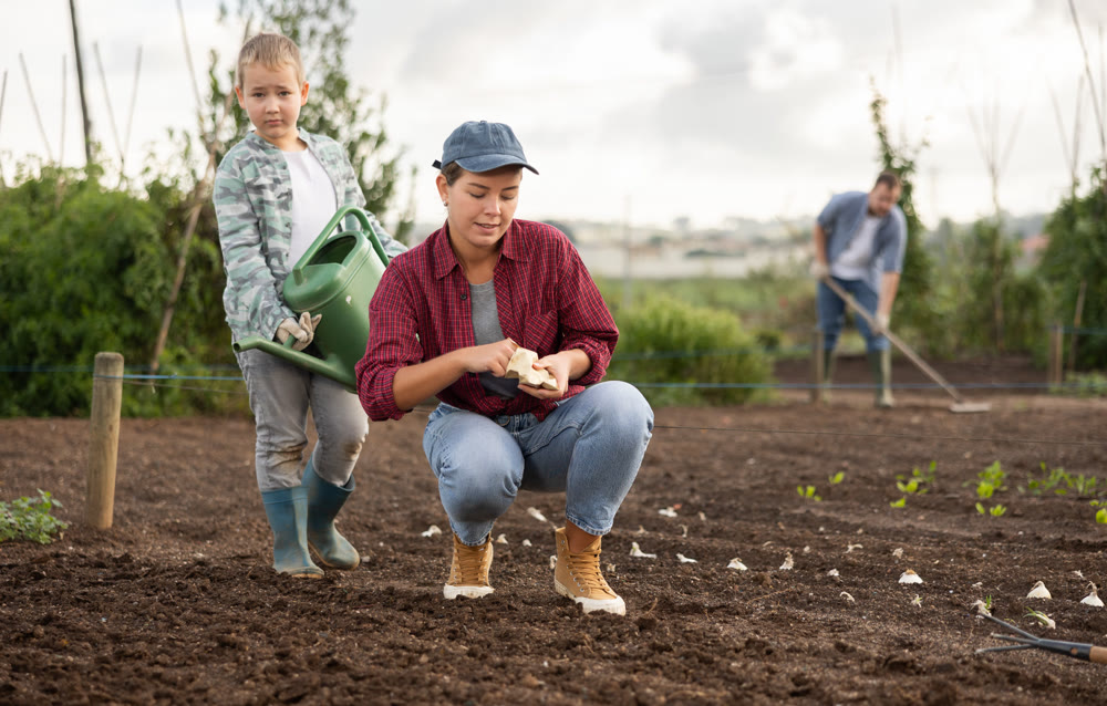 Woman planting seeds boy watering beds