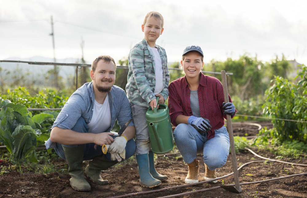 Man woman and boy planting seeds in field