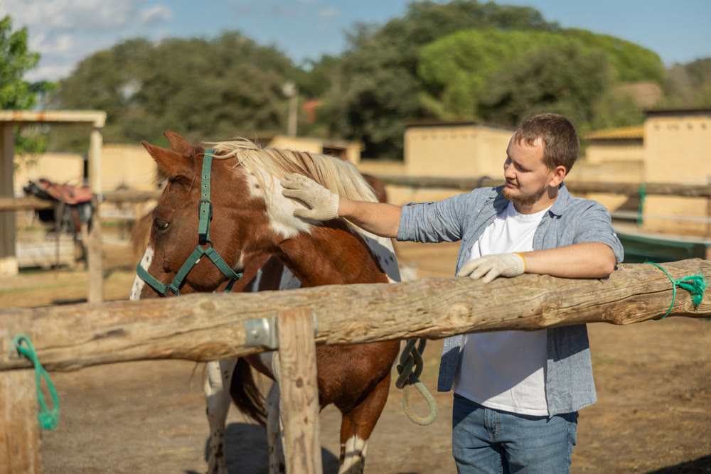 Young man leads horse to hitching post