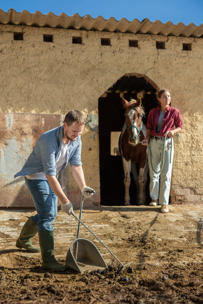 Young man cleans manure near stable